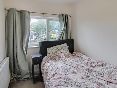 Picture 14